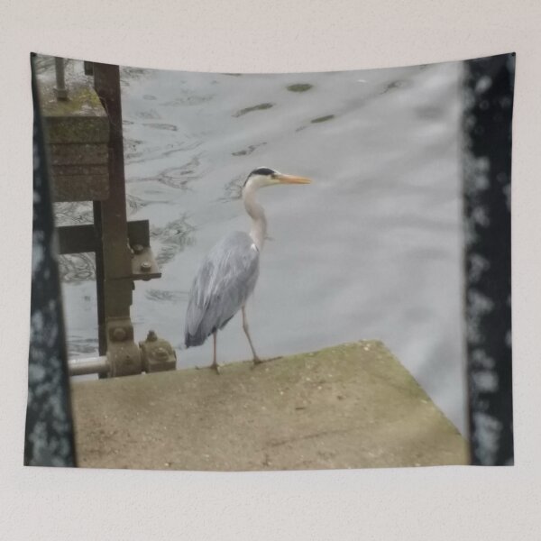 Item preview, #312 |☼| Grey Heron At The Pier (Jephson Gardens) designed and sold by Naean H.F. (Nez Man).