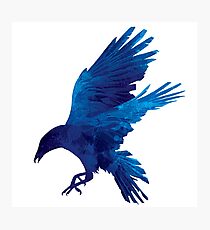 Raven Blue Painting Photographic Print
