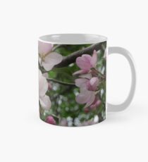 Apple Blossoms Classic Mug
