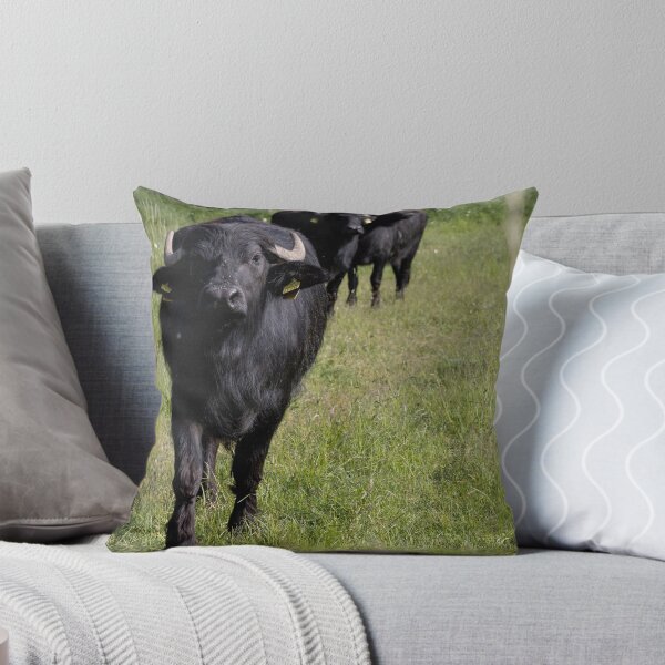 Item preview, Domestic Water Buffalo designed and sold by Calidris Fotografie Steffi & Ben Köppler.
