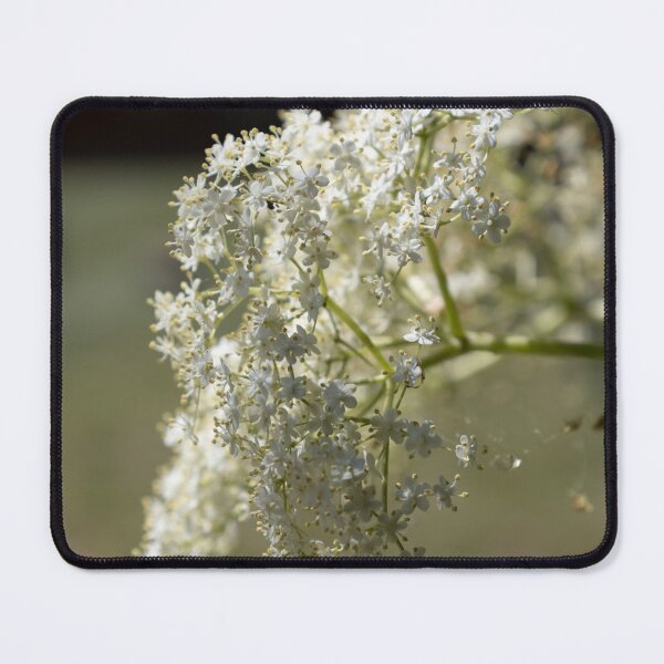 Item preview, Black Elder designed and sold by Calidris Fotografie Steffi & Ben Köppler.