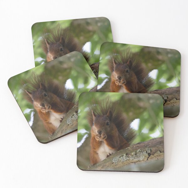 Item preview, Red Squirrel designed and sold by Calidris Fotografie Steffi & Ben Köppler.