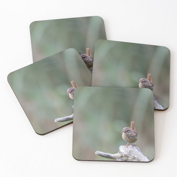 Item preview, Eurasian wren designed and sold by Calidris Fotografie Steffi & Ben Köppler.