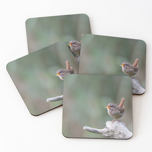 Item preview, Eurasian wren designed and sold by Calidris Fotografie Steffi & Ben Köppler.