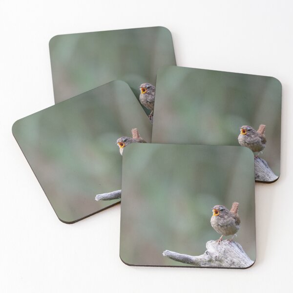 Item preview, Eurasian wren designed and sold by Calidris Fotografie Steffi & Ben Köppler.