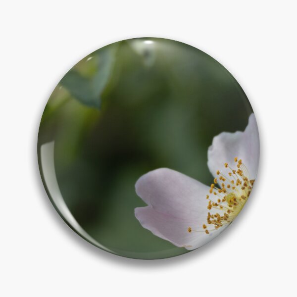 Item preview, Dog Rose designed and sold by Calidris Fotografie Steffi & Ben Köppler.