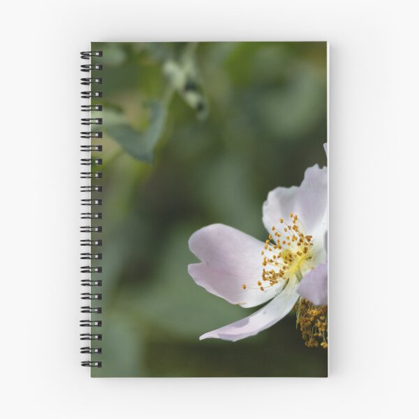 Item preview, Dog Rose designed and sold by Calidris Fotografie Steffi & Ben Köppler.