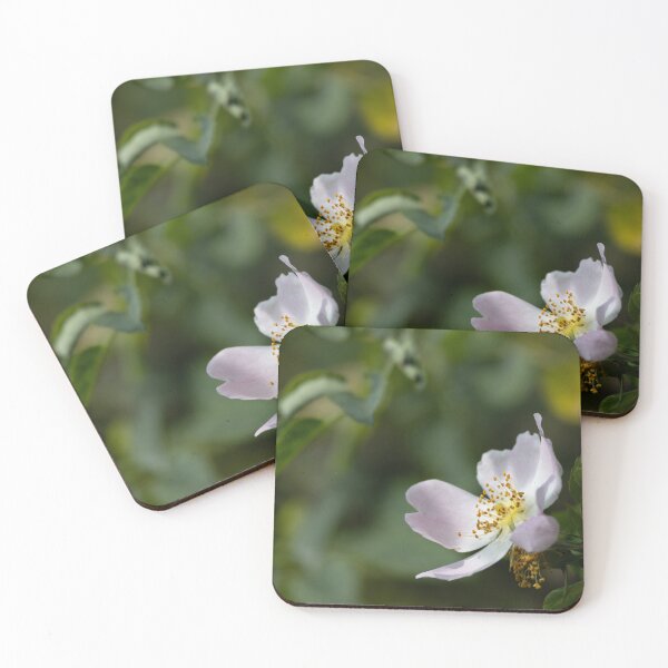 Item preview, Dog Rose designed and sold by Calidris Fotografie Steffi & Ben Köppler.