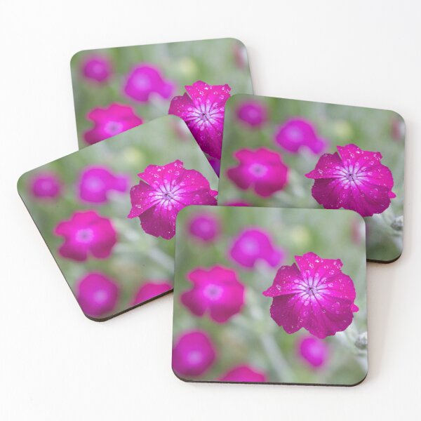 Item preview, mullein-pink designed and sold by Calidris Fotografie Steffi & Ben Köppler.
