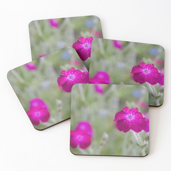 Item preview, rose campion designed and sold by Calidris Fotografie Steffi & Ben Köppler.