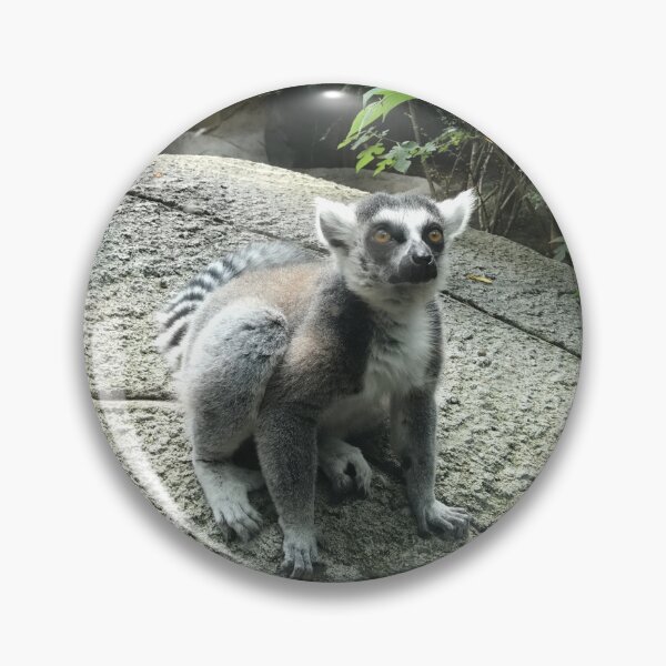 Item preview, Ring Tailed Lemur  designed and sold by errudd.