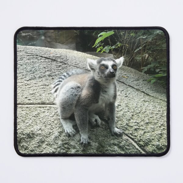 Item preview, Ring Tailed Lemur  designed and sold by errudd.
