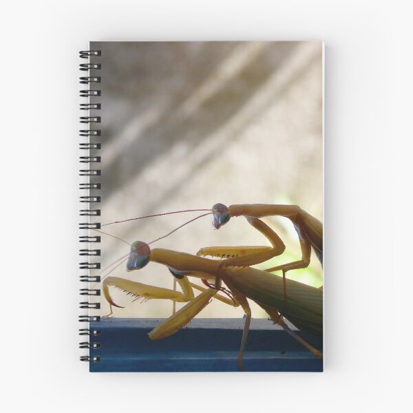 Item preview, Flossy, a praying mantis in the mood for love designed and sold by JonDelorme.