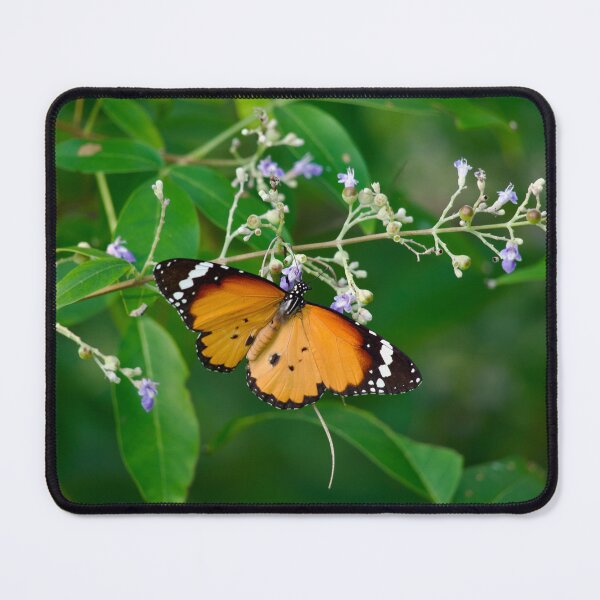 Item preview, Colourful Butterfly designed and sold by GuruKde.