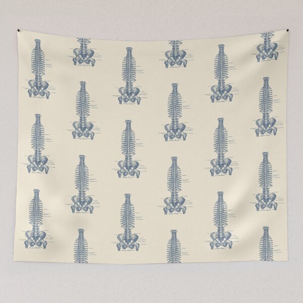 Item preview, Rib and Pelvis Diagram  designed and sold by VAposters.