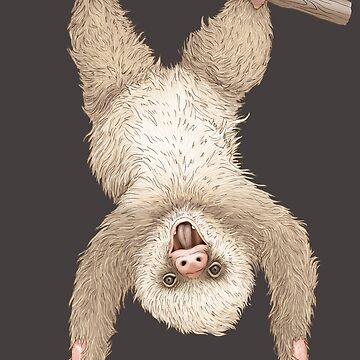 Artwork thumbnail, Baby Sloth by MaratusFunk