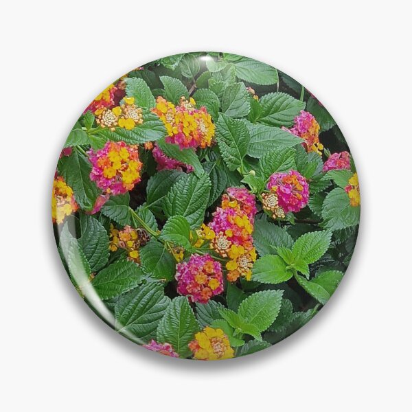Item preview, Europe, Portugal, flowers, colorful, photography, Bebicervin designed and sold by BebiCervin.