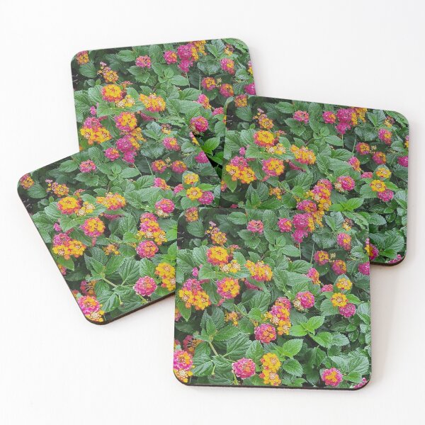 Item preview, Europe, Portugal, flowers, colorful, photography, Bebicervin designed and sold by BebiCervin.