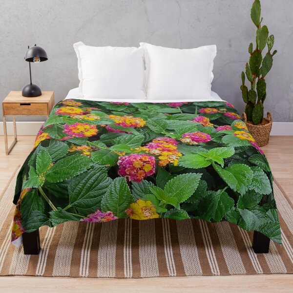 Item preview, Europe, Portugal, flowers, colorful, photography, Bebicervin designed and sold by BebiCervin.