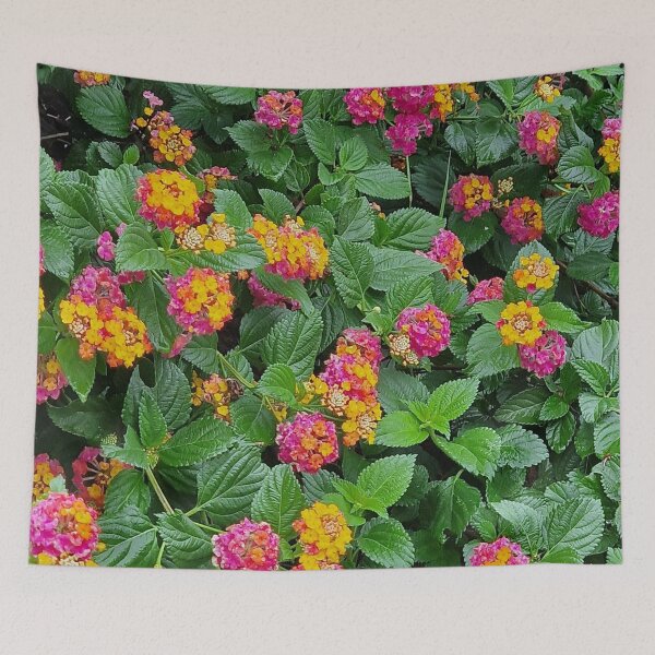 Item preview, Europe, Portugal, flowers, colorful, photography, Bebicervin designed and sold by BebiCervin.