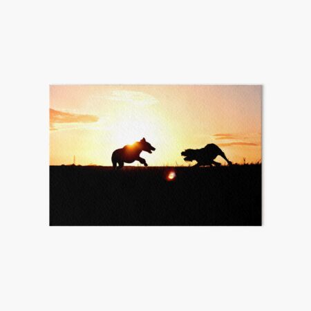 Italian Spinone Sunset Playtime Art Board Print