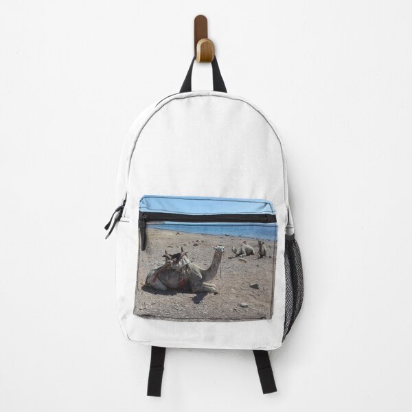 Item preview, Camels on the sand of the Red Sea designed and sold by Osama-Hamdi.
