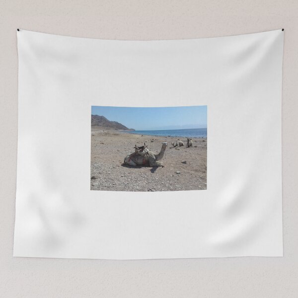 Item preview, Camels on the sand of the Red Sea designed and sold by Osama-Hamdi.