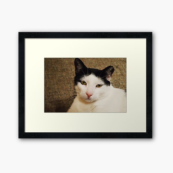 Chippy I Framed Art Print