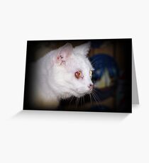 Tina Greeting Card