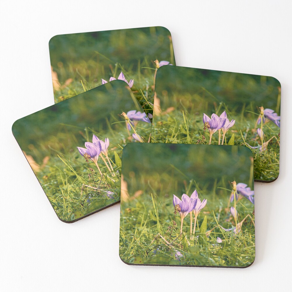 Item preview, Coasters (Set of 4) designed and sold by Tilosparty30.