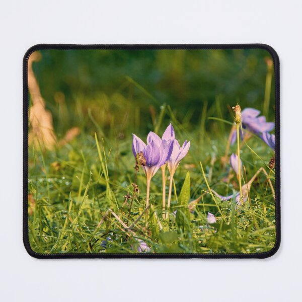 Item preview, Spring designed and sold by Tilosparty30.