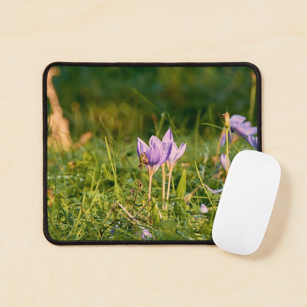 Item preview, Mouse Pad designed and sold by Tilosparty30.