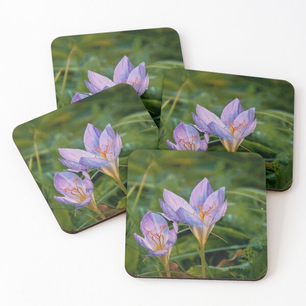 Item preview, Flowers on the ground designed and sold by Tilosparty30.