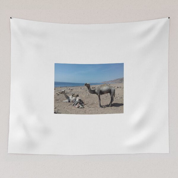 Item preview, Camels are opposite the Red Sea, Dahab, Egypt designed and sold by Osama-Hamdi.