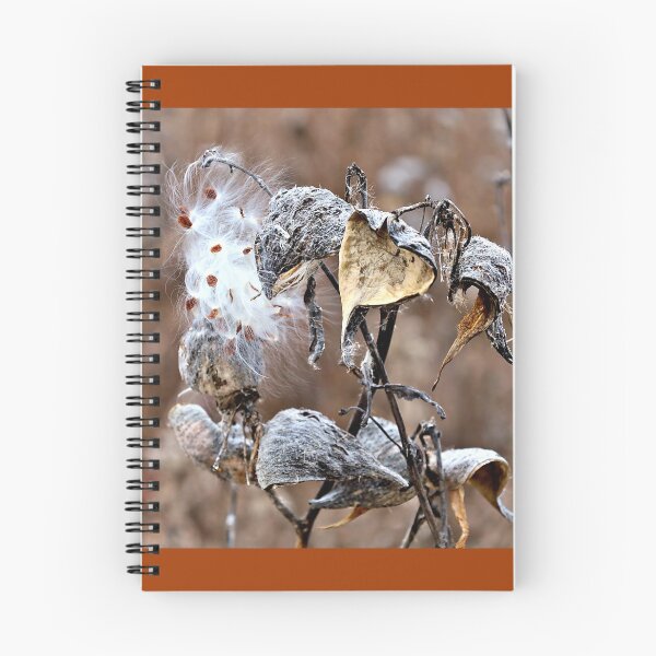 Item preview, Fall Remnants of Milkweed Pods designed and sold by Martha Sherman.