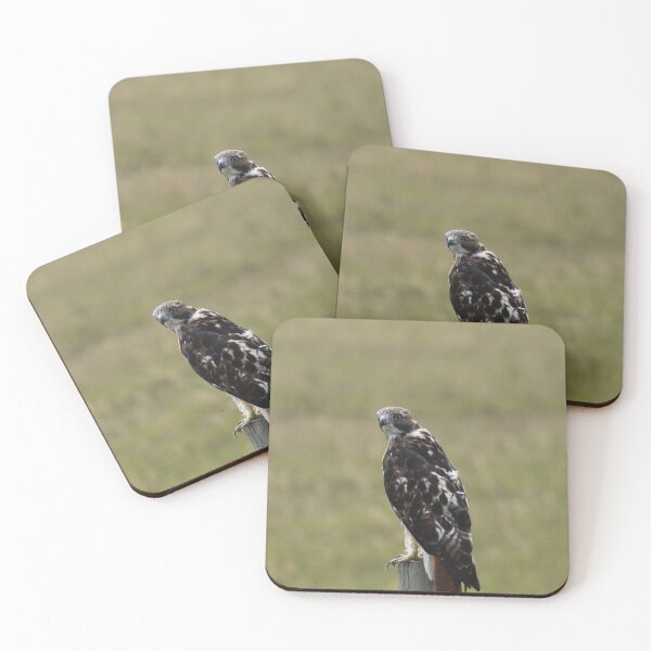 Item preview, Chickenhawk designed and sold by Alyce Taylor.
