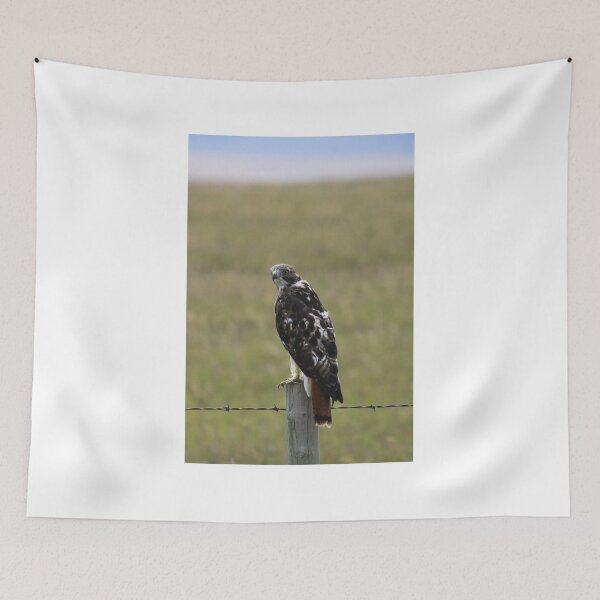 Item preview, Chickenhawk designed and sold by Alyce Taylor.