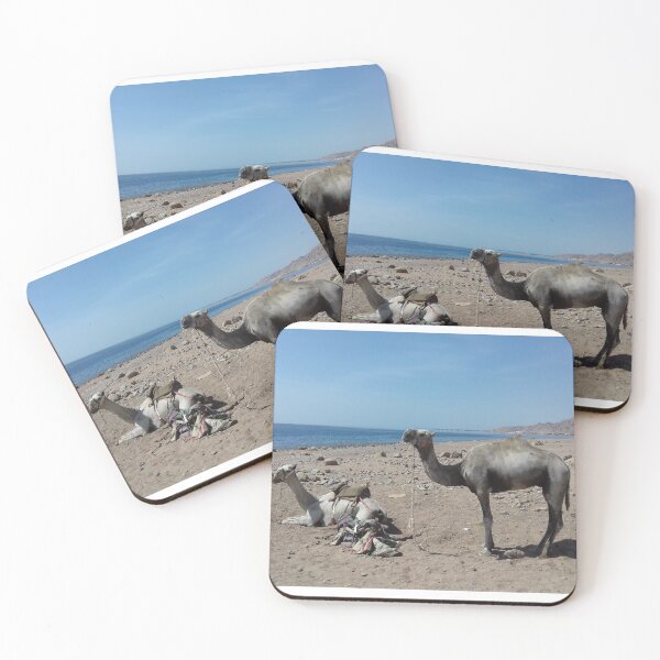 Item preview, Camels are opposite the Red Sea, Dahab, Egypt designed and sold by Osama-Hamdi.