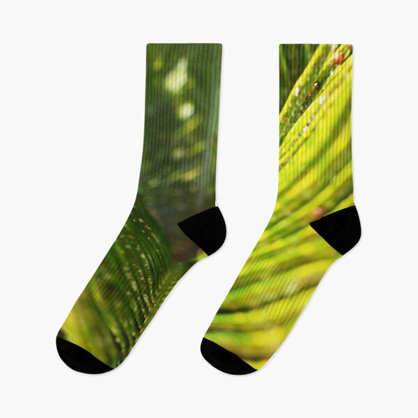 Item preview, Palm Tree Leaf Closeup Photography designed and sold by ThePhotograph03.