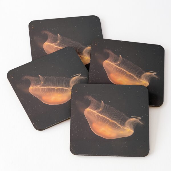Item preview, Jellyfish (Skegness Aquarium) designed and sold by ForestFairies.