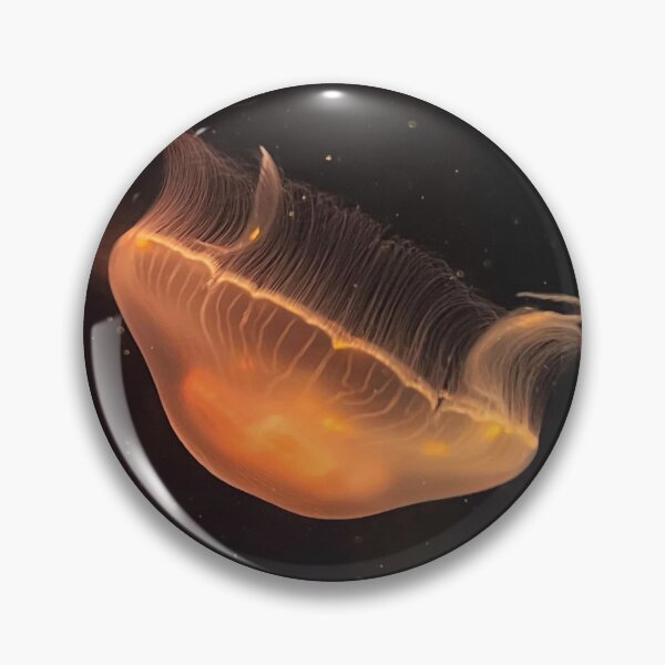 Item preview, Jellyfish (Skegness Aquarium) designed and sold by ForestFairies.