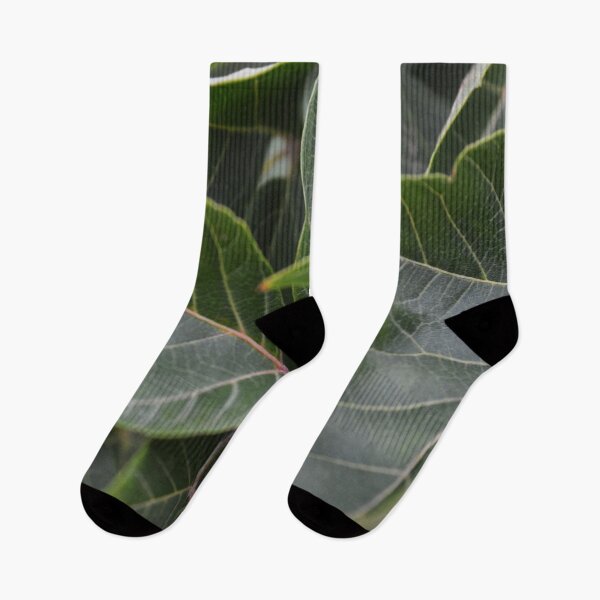 Item preview, Dark Green Leaves Photography 2 designed and sold by ThePhotograph03.
