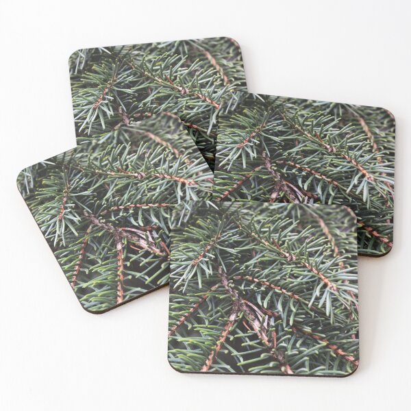 Item preview, Pine Needles Photography  designed and sold by ThePhotograph03.