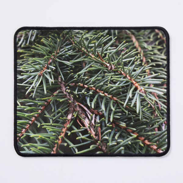 Item preview, Pine Needles Photography designed and sold by ThePhotograph03.