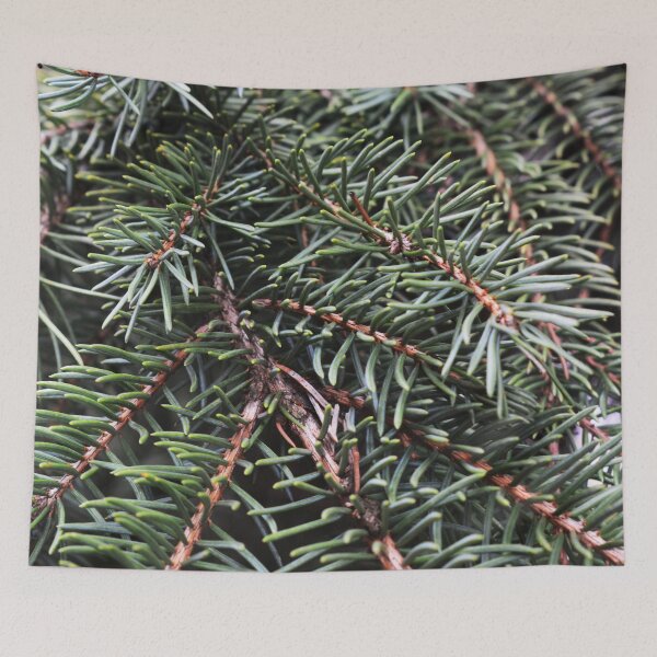Item preview, Pine Needles Photography  designed and sold by ThePhotograph03.