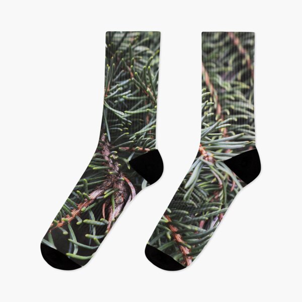 Item preview, Pine Needles Photography  designed and sold by ThePhotograph03.