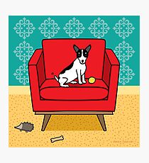 Rat Terrier Square Photographic Print