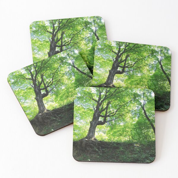 Item preview, Seven Mile Creek County Park designed and sold by Designed by Southern Minnesota Guy.