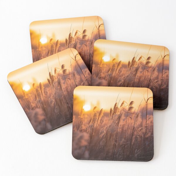 Item preview, Fields of Gold in Spain - Landscape photo designed and sold by TheArtistOf2022.