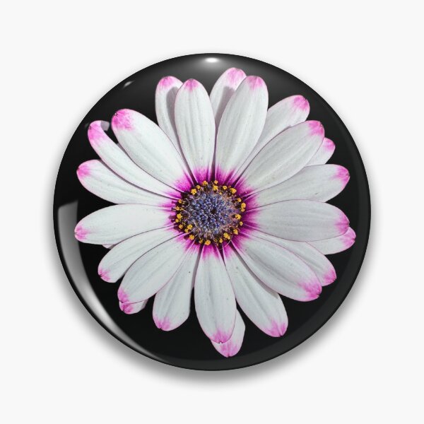 Item preview, Highlighted Tips designed and sold by Lee Darnell.